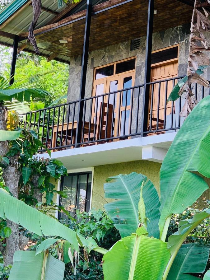 إيلا Rock View Cottage المظهر الخارجي الصورة