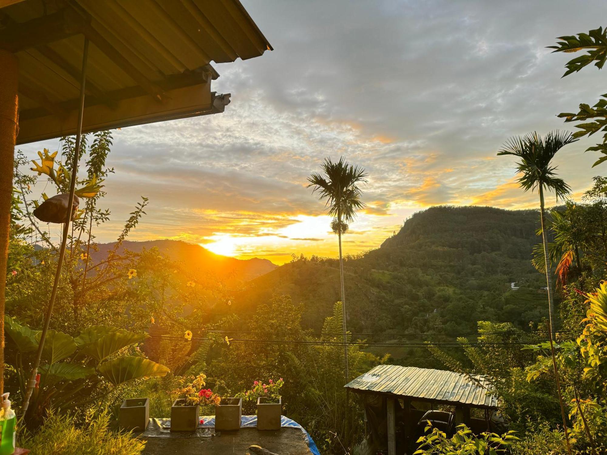 إيلا Rock View Cottage المظهر الخارجي الصورة